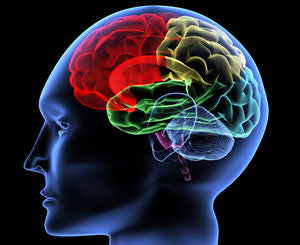 Brain, Nervous Systems & Mental Health