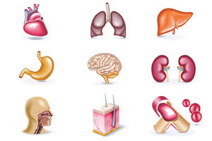 Shop By Body Part